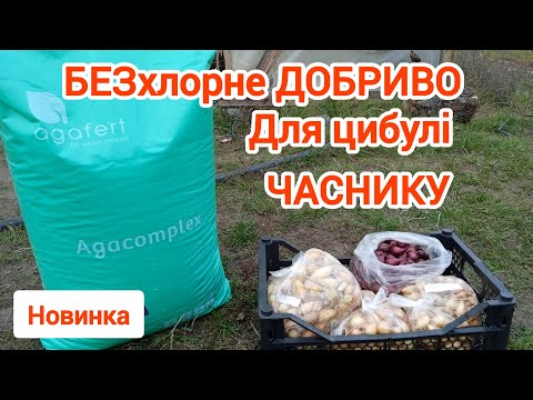 Видео: БЕЗхлорне ДОБРИВО для цибулі часнику.