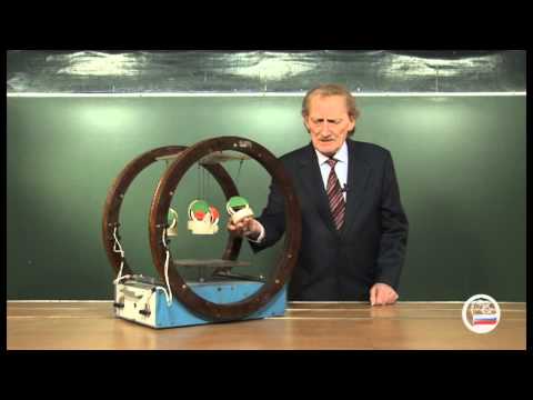 Видео: Модель намагничивания парамагнетика