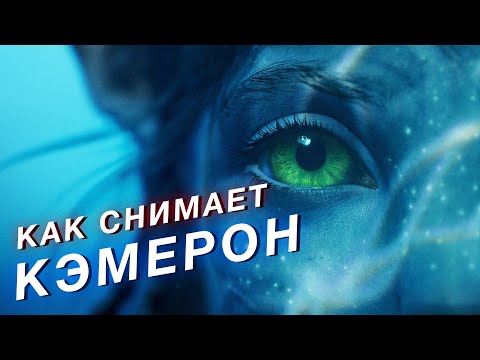 Видео: АВАТАР 2: ПОЧЕМУ КЭМЕРОН БЫЛ ПРАВ, ХОТЯ В НЕГО НИКТО НЕ ВЕРИЛ