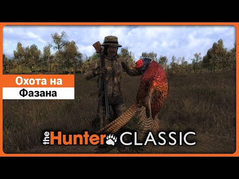 Видео: Охота на Фазана в theHunter Classic !