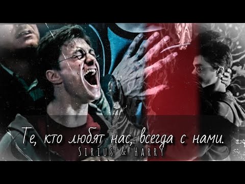 Видео: Sirius & Harry || Те, кто любят нас, всегда с нами