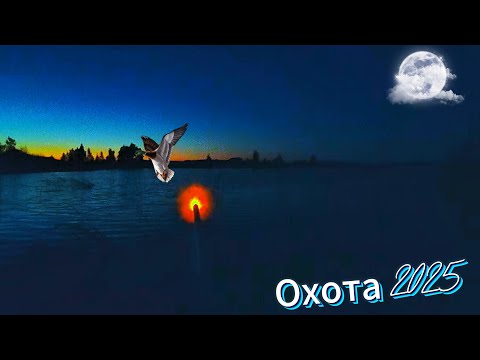 Видео: Охота на утку осенью 2025
