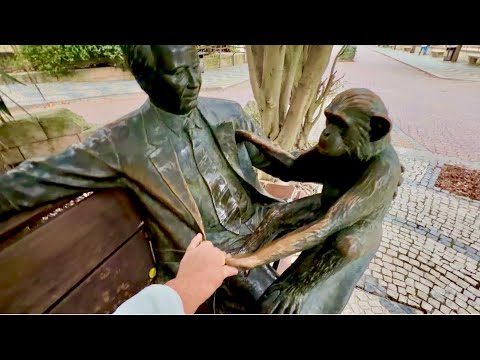 Видео: Мы отправляемся в Лиссабон по делам и посещаем старейший зоопарк, где я нахожу ЛЮСЬКУ)))