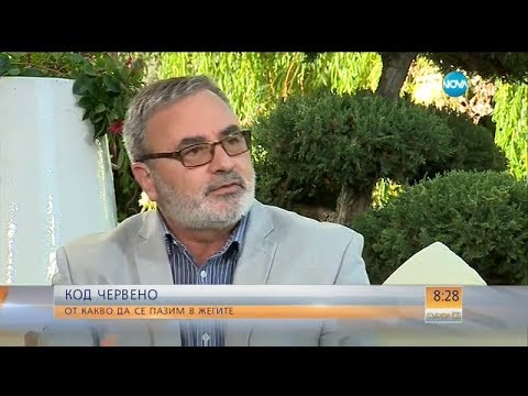 Видео: Д-р Кунчев: Всеки ден имаме по 2-3 случая на Лаймска болест - Събуди се (01.07.2017)