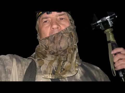 Видео: Ночная охота на косулю и кабана