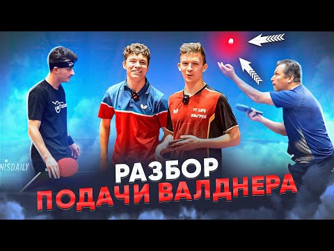 Видео: Подача Великого Jan-Ove Waldner! Анализ с Дмитрием Виноградовым