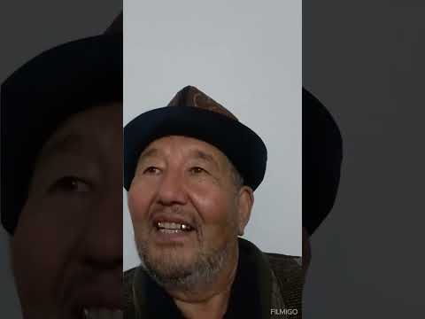 Видео: 31 октября 2025 г.