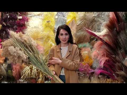 Видео: Сухоцветы 2025: Главные Тренды и Как Их Использовать