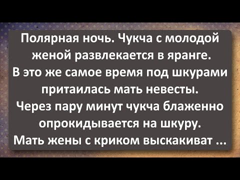 Видео: Тёртая Шкура! Сборник Самых Свежих Анекдотов!