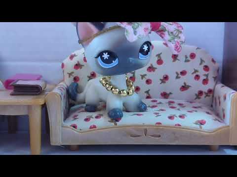 Видео: LPS Lifestyle видео обо всём и не о чём🤍