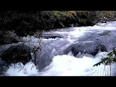 Видео: Мавчи-вахш барно Тохир