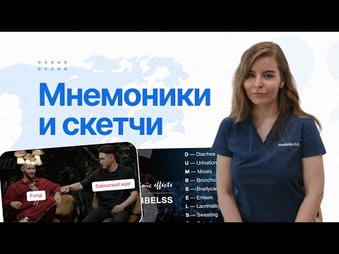 Видео: Мнемоники и скетчи | Как учиться эффективно
