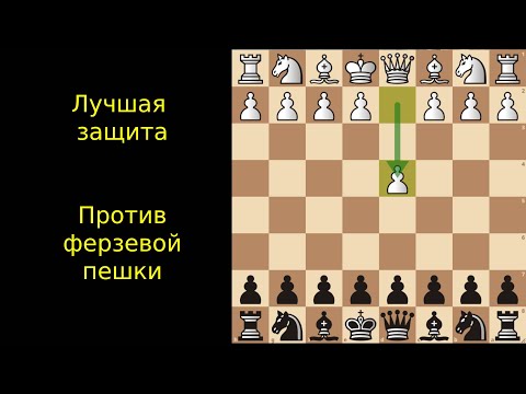 Видео: Эта защита поставит в ступор вашего соперника| Чешская Защита