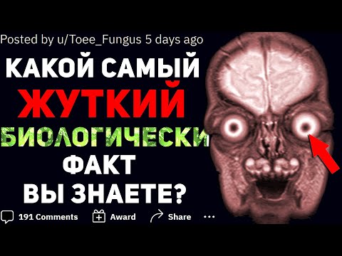 Видео: КАКОЙ САМЫЙ ЖУТКИЙ БИОЛОГИЧЕСКИЙ ФАКТ ВЫ ЗНАЕТЕ? 🦠