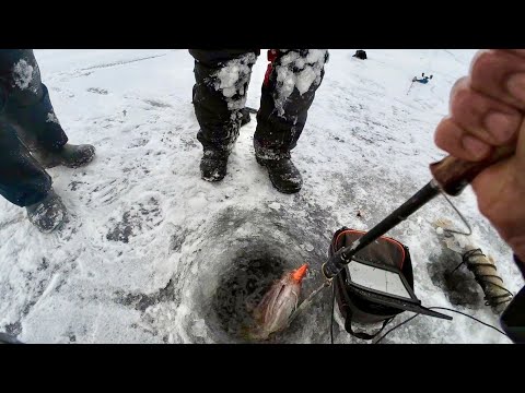 Видео: ВСЕ СБЕЖАЛИСЬ НА ПОМОЩЬ ДОСТАТЬ ЕГО! ЧУМОВАЯ РЫБАЛКА В ЯКУТИИ