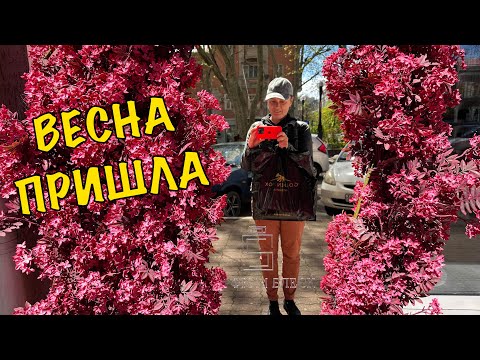 Видео: Интересная прогулка по Туапсе. Центр. Калараша.