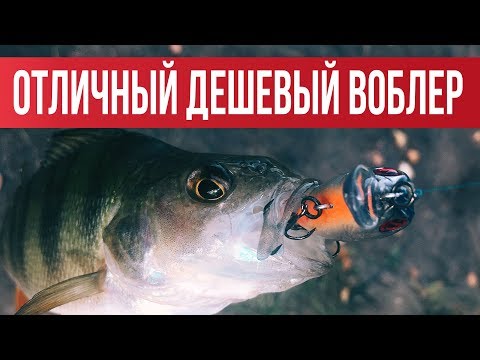 Видео: Лучший ДЕШЕВЫЙ воблер на окуня! Ловим окуня на воблеры вместе | Рыбалка с Fishingsib