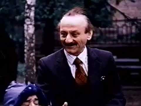 Видео: Фитиль №382