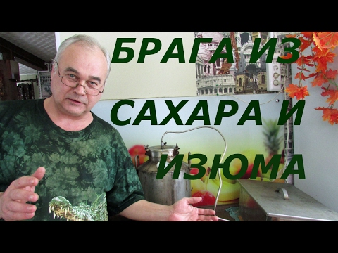 Видео: Как сделать брагу из сахар с изюмом / Рецепты самогона, браги / Самогон Саныч