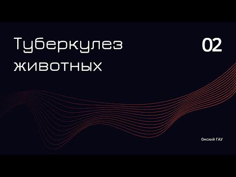 Видео: Туберкулез животных | Часть 2 | Омский ГАУ