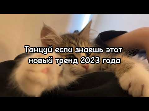 Видео: Танцуй если знаешь эти новые тренды 2023 года.Лучшие тренды TikTok🎶