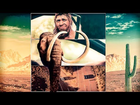 Видео: Эволюция. Пути и направления эволюции.