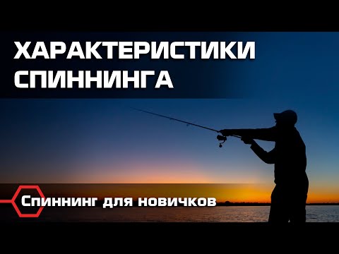 Видео: ХАРАКТЕРИСТИКИ СПИННИНГА. Типы и классы удилищ. Спиннинговая ловля для новичков.