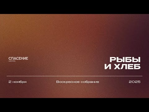 Видео: 02.11.25 | Воскресное собрание | Александр Борисюк