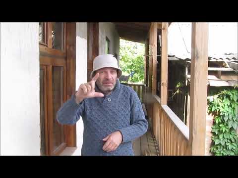 Видео: Заново в ролик.