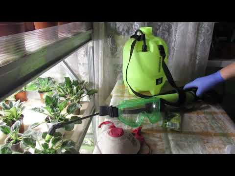 Видео: КАК ВЫВЕСТИ КЛЕЩЕЙ НА ФИАЛКАХ  КРАТКО И ТОЛКОВО