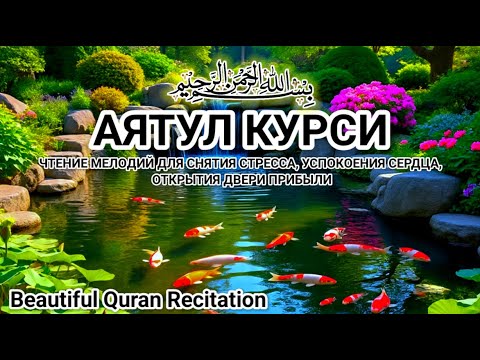 Видео: 1000 красивых и мелодичных рецитаций АЯТУЛ КУРСИ для расслабления сердца, души и ума