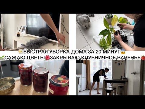 Видео: 😶‍🌫️БЫСТРАЯ УБОРКА ДОМА ЗА 20 МИНУТ😱 🌱САЖАЮ ЦВЕТЫ🌺ЗАКРЫВАЮ КЛУБНИЧНОЕ ВАРЕНЬЕ🍓