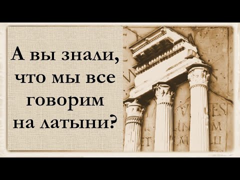 Видео: А вы знали, что мы все говорим на латыни?!