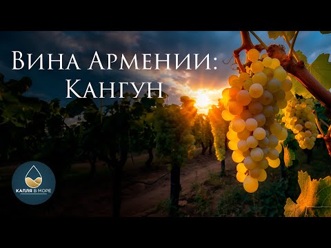 Видео: Кангун - что ты такое?! Какое вино получается из сорта Kangun?