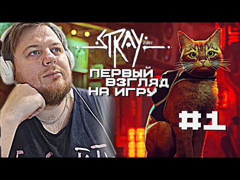 Видео: STRAY | ЧАСТЬ 1 | МОЙ ЛЕТСПЛЕЙ