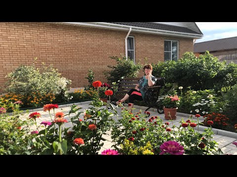 Видео: Как хорошо дружить ДОМАМИ🏡🐈В гостях у соседей🧑‍🌾Красавица Цинния...🌸🌺🌸🌺