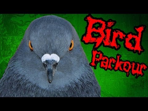 Видео: Паркур с Губкой Гопом - Flappy Bird Parkour