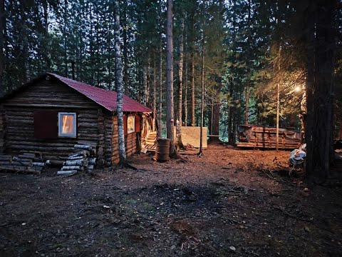 Видео: Заброска в осеннюю тайгу на мотобуксировщике. Охота на копылуху.
