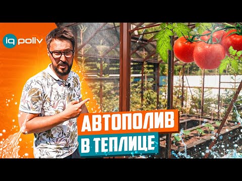 Видео: ГРАМОТНЫЙ КАПЕЛЬНЫЙ ПОЛИВ В ТЕПЛИЦЕ! IQpoliv