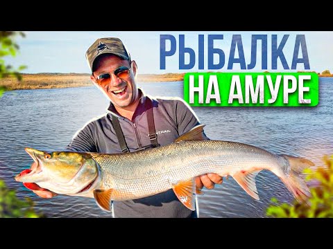 Видео: РЫБАЛКА С ГИДОМ  НА ДАЛЬНЕМ ВОСТОКЕ. РЕКА АМУР.  ЖЕЛТОЩЕК/АУХА/ВЕРХОГЛЯД. 4K