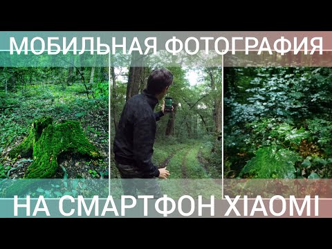 Видео: Мобильная фотография на смартфон Xiaomi в лесу.