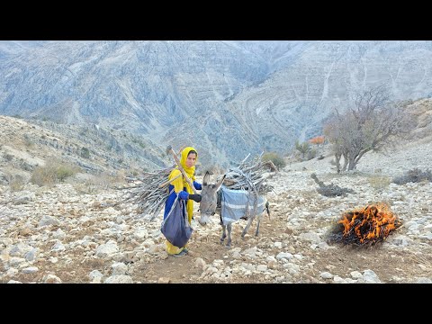 Видео: Кочевая жизнь и сбор дров: захватывающий день девушки-кочевницы в горах