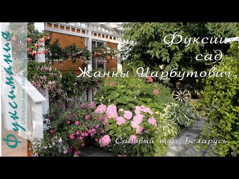 Видео: Садовый тур. Сад Жанны Нарбутович, Беларусь