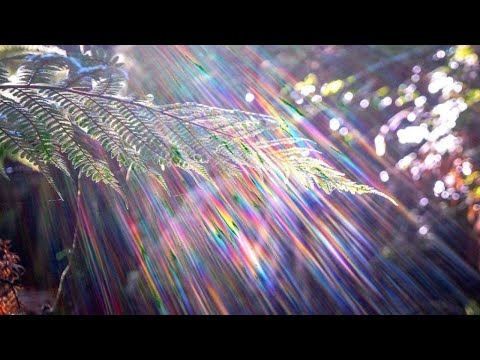 Видео: "Груз вины. Причины и следствия"