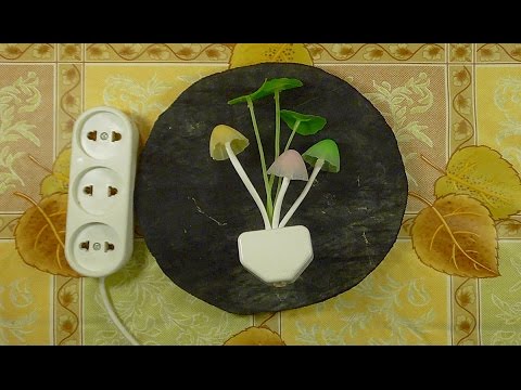 Видео: Как отремонтировать Китайский ночник - светильник Грибочки