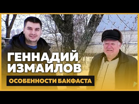 Видео: Геннадий Измайлов – 1500 пчелосемей, Бакфаст, матководство