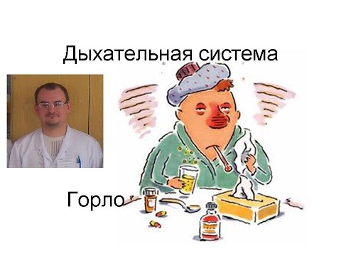 Видео: 12. Дихальна система - горло