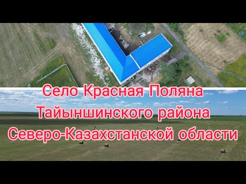 Видео: Село Красная Поляна Тайыншинского района Северо-Казахстанской области, Республика Казахстан.