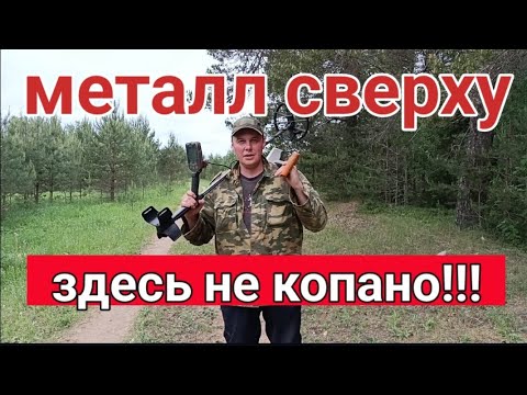 Видео: металлокоп на нетронутой поляне, ЗДЕСЬ НЕКОПАНО!, копаю с #nokta makro simplex plus