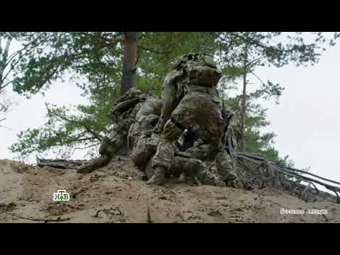 Видео: Друзья Северные Рубежи Нерпа